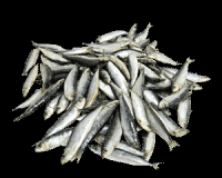 Σαρδέλες 1kg